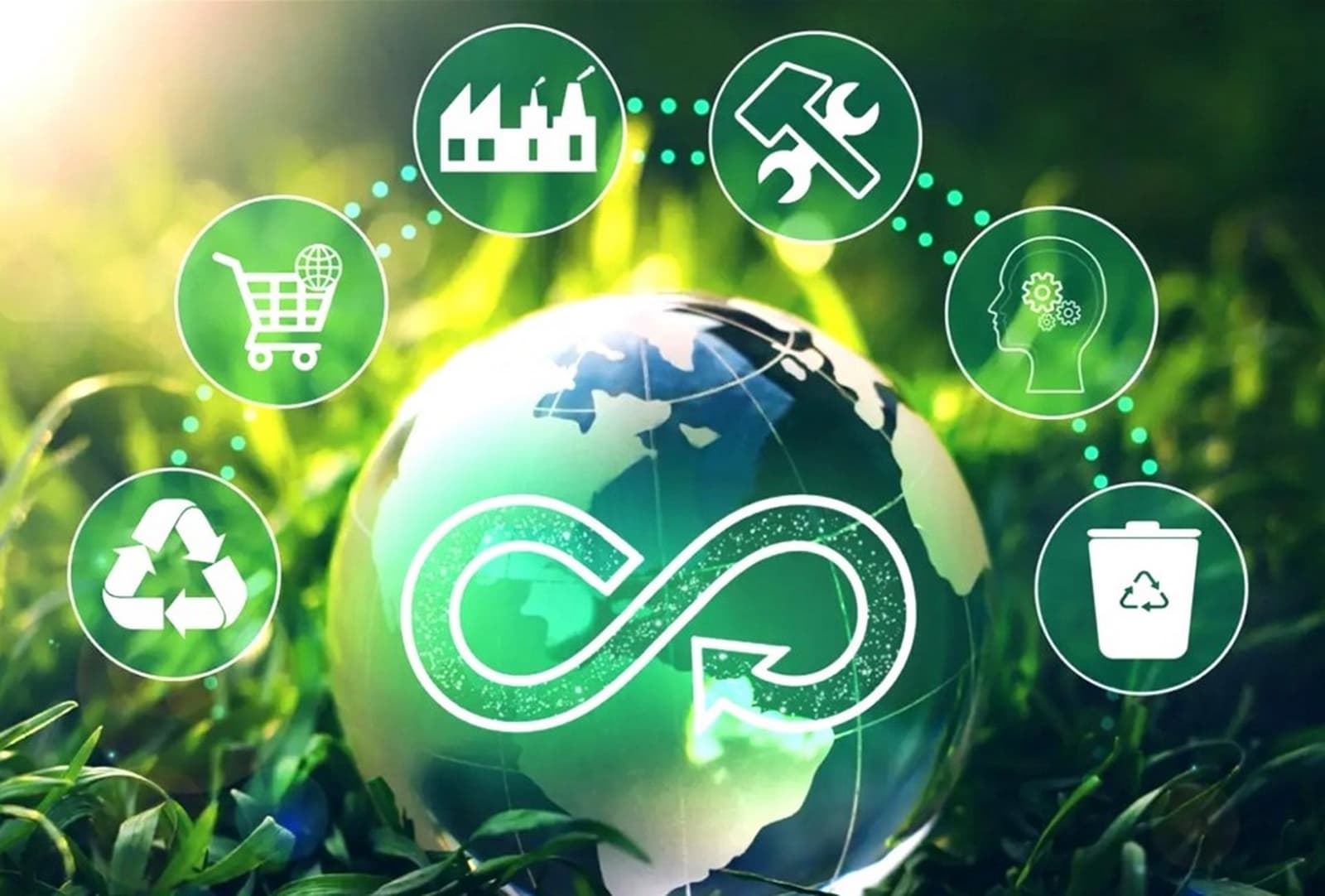 Exploring Circular Economy Practices of SMEs in Vietnam and Australia