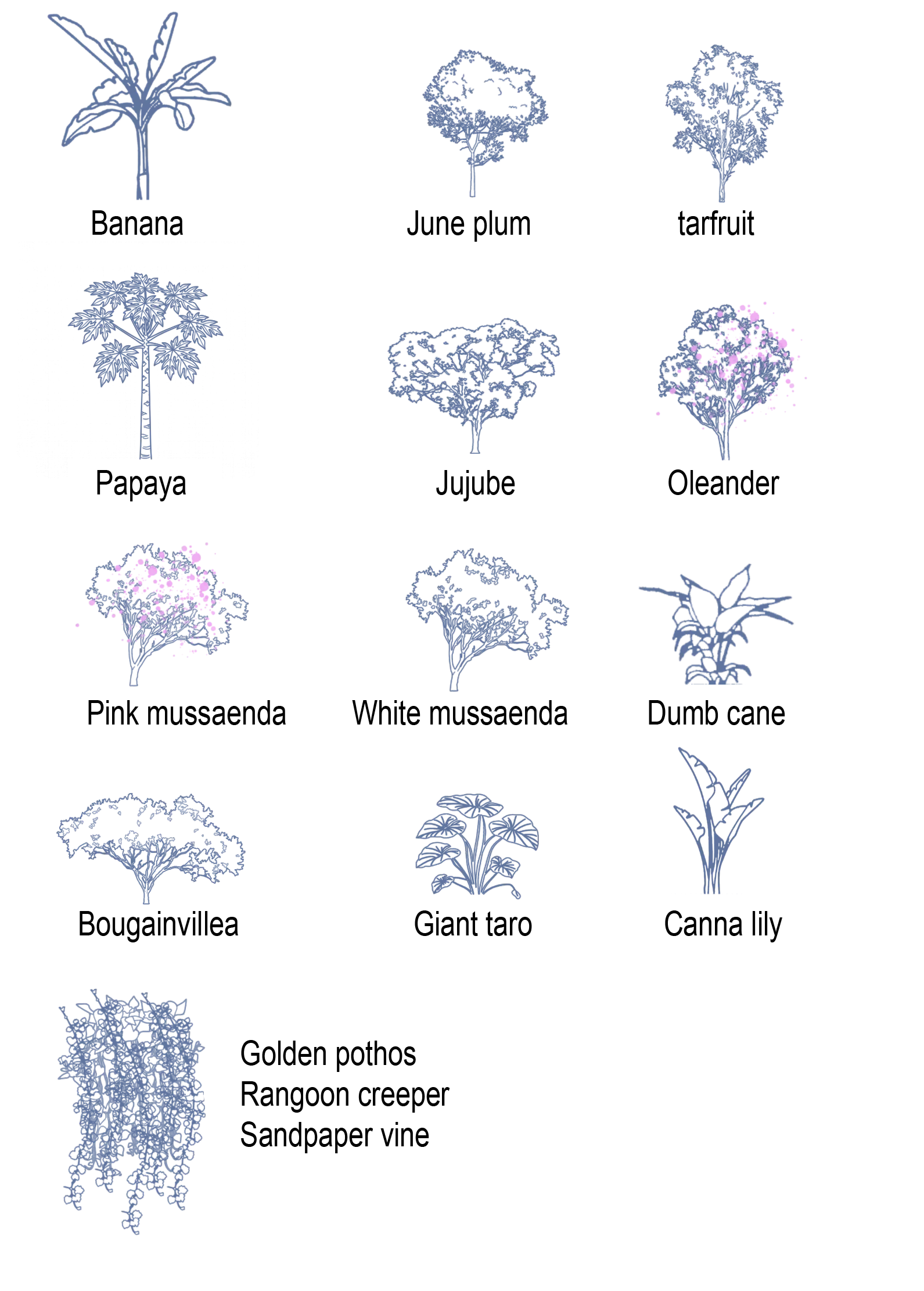 Planting legend