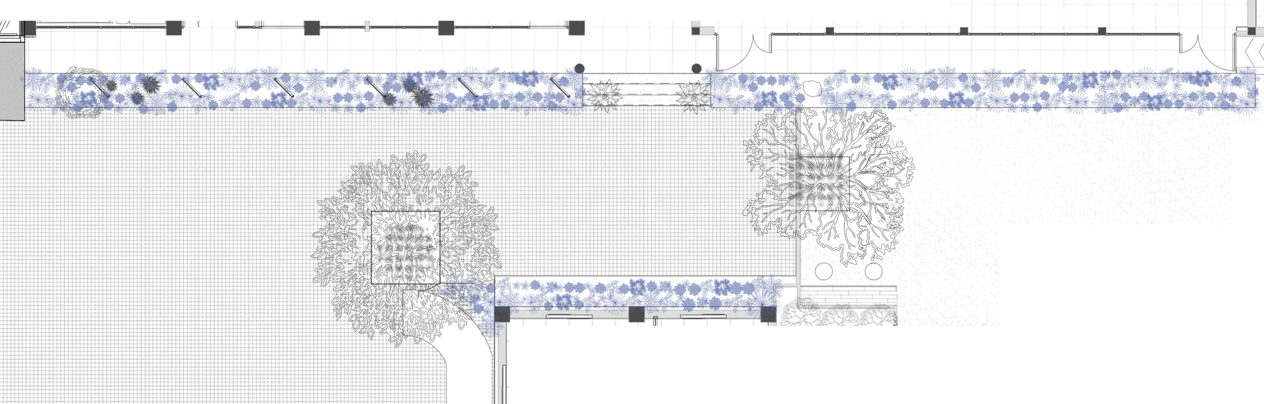 BioRetention swale plan